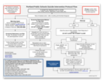 Suicide prevention plan